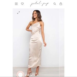 Tienna Dress NWT 8
